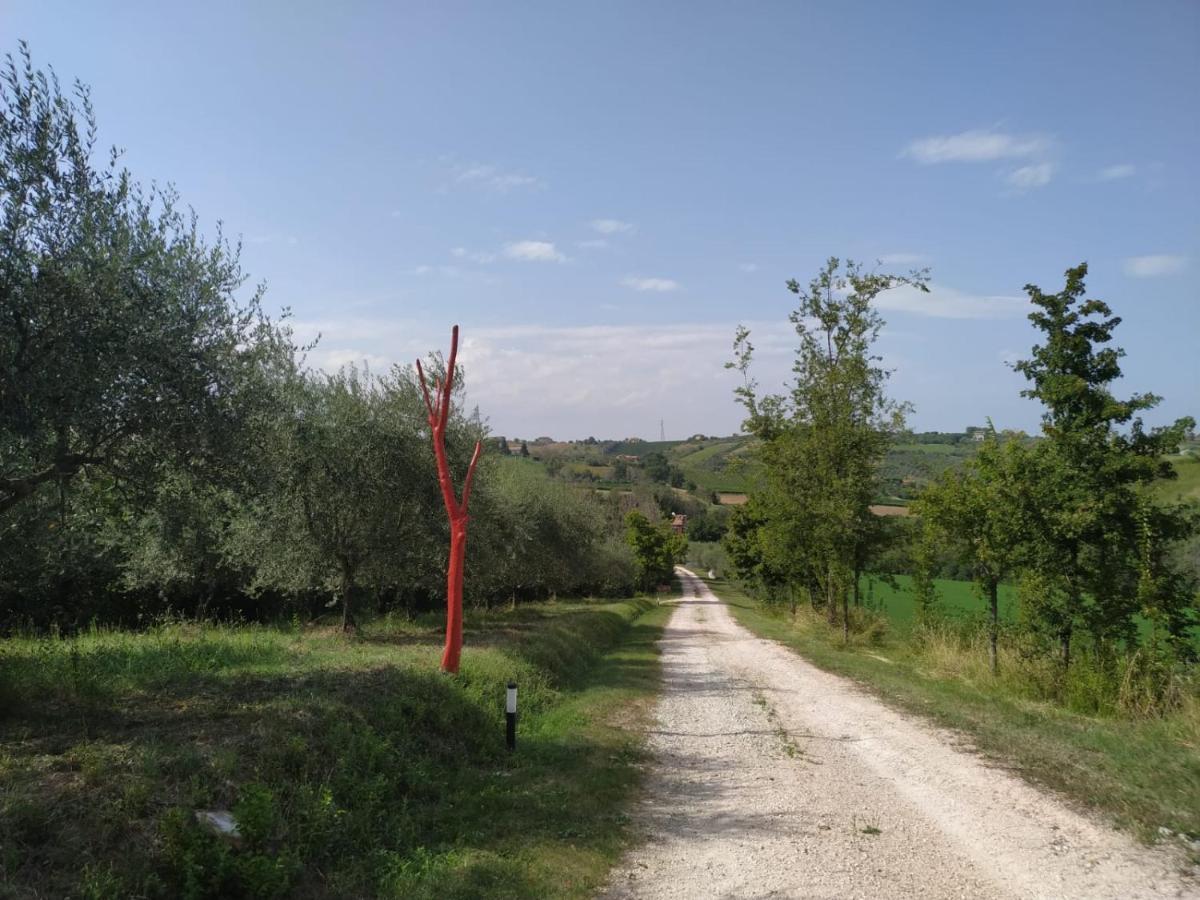 La Silvana B&B Coriano Zewnętrze zdjęcie