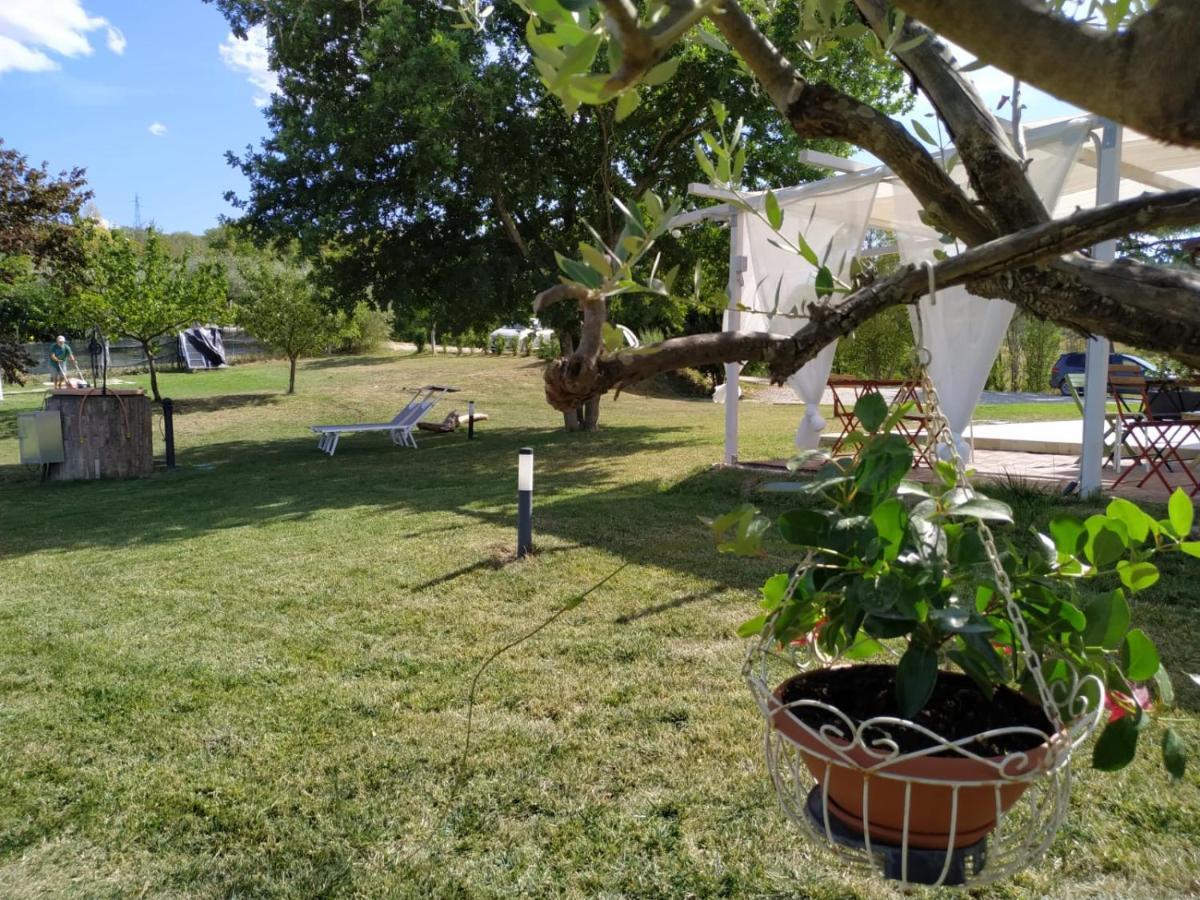 La Silvana B&B Coriano Zewnętrze zdjęcie